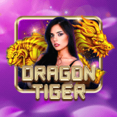 Dragon Tiger JL999 live